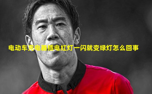 电动车充电器插电红灯一闪就变绿灯怎么回事