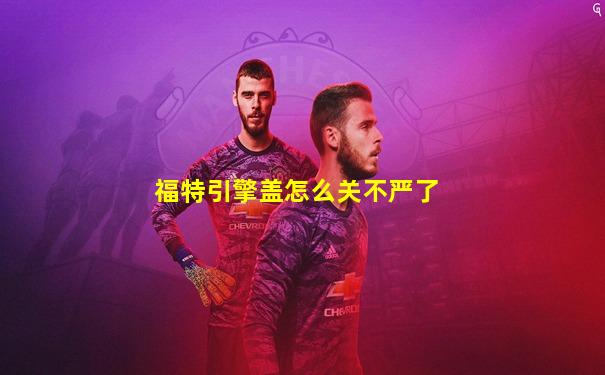 福特引擎盖怎么关不严了