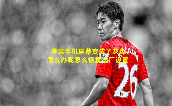苹果手机屏幕变成了灰色怎么办呢怎么恢复出厂设置
