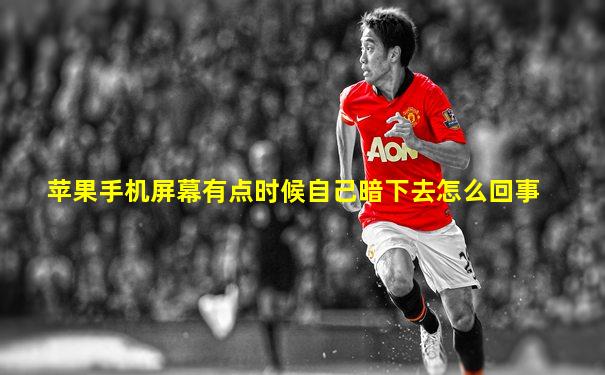 苹果手机屏幕有点时候自己暗下去怎么回事