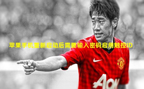 苹果手机重新启动后需要输入密码启用触控ID