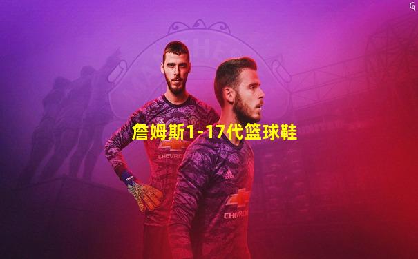詹姆斯1-17代篮球鞋