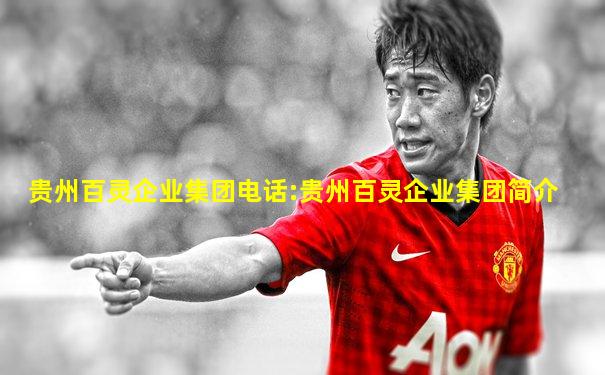 贵州百灵企业集团电话:贵州百灵企业集团简介