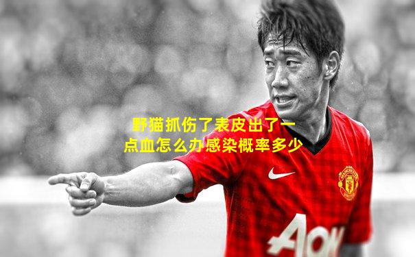 野猫抓伤了表皮出了一点血怎么办感染概率多少